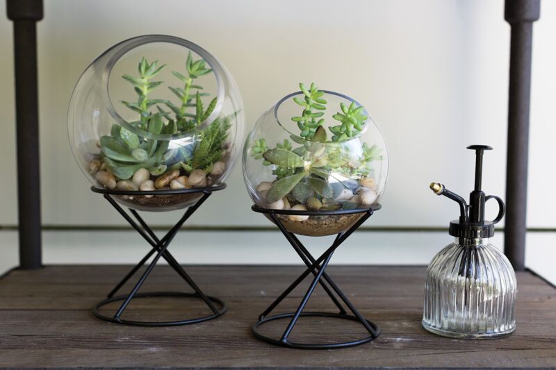 Orbit Terrarium